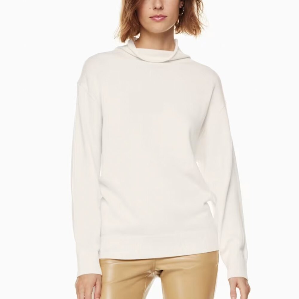 Aritzia xxs wool turtleneck sweater.